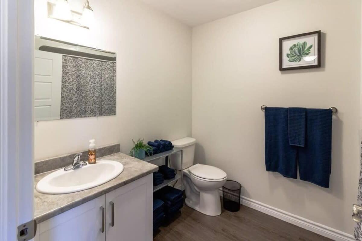 Newly Renovated Modern Condo Near Hospital, Unb Patio & Parking Coffee Saint-Jean Extérieur photo