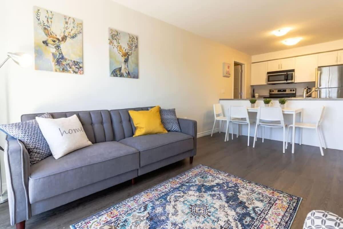 Newly Renovated Modern Condo Near Hospital, Unb Patio & Parking Coffee Saint-Jean Extérieur photo